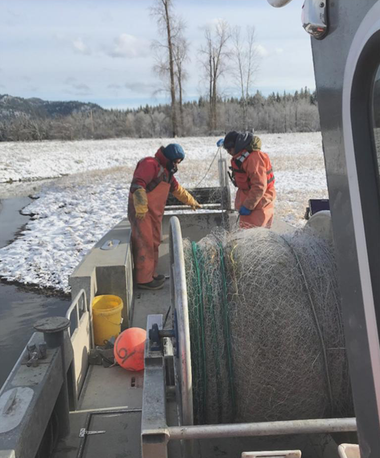 Photo showing Kalispel Tribal staff displaying the process of gillnet suppression for Northern Pike in the Pend Oreille River, WA.