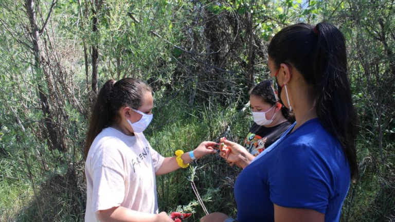 Photo of willow gathering during youth field trip.